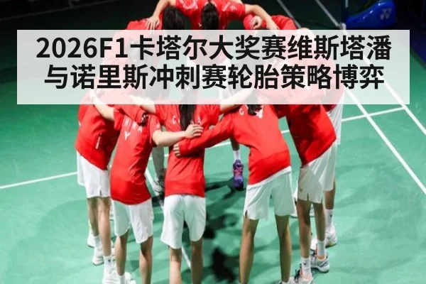 2026F1卡塔尔大奖赛维斯塔潘与诺里斯冲刺赛轮胎策略博弈